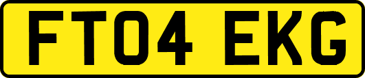 FT04EKG