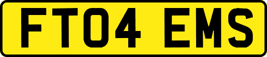 FT04EMS