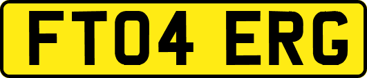 FT04ERG