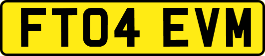 FT04EVM