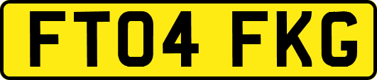 FT04FKG