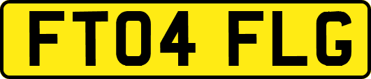 FT04FLG