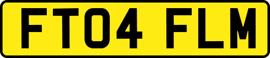 FT04FLM