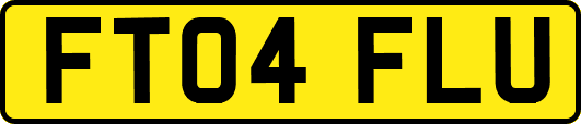 FT04FLU
