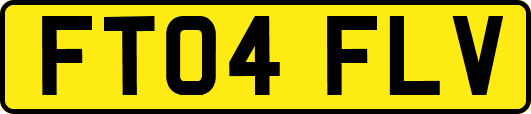 FT04FLV