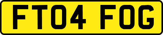 FT04FOG