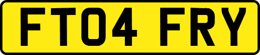 FT04FRY