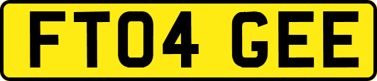 FT04GEE
