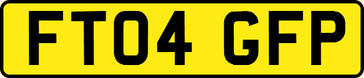 FT04GFP