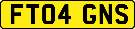 FT04GNS