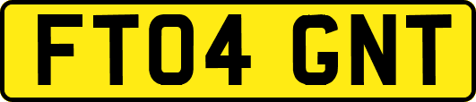 FT04GNT