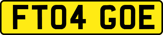 FT04GOE