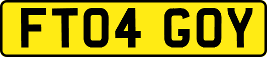FT04GOY
