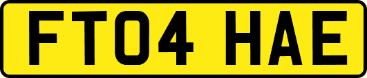 FT04HAE