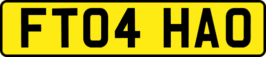 FT04HAO