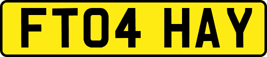 FT04HAY