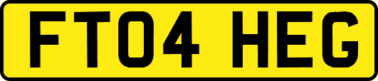 FT04HEG