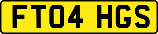FT04HGS