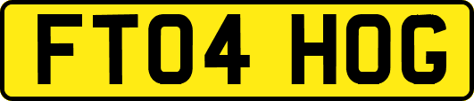FT04HOG