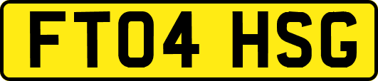 FT04HSG