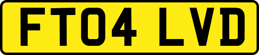 FT04LVD