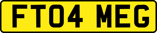 FT04MEG