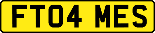 FT04MES