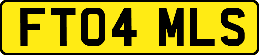 FT04MLS