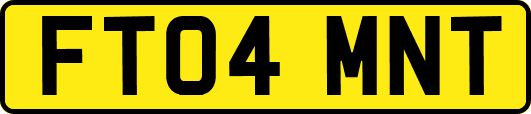 FT04MNT