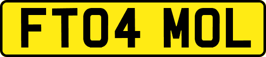 FT04MOL
