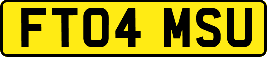 FT04MSU