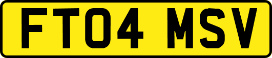 FT04MSV