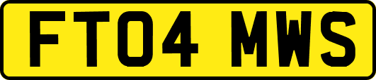 FT04MWS