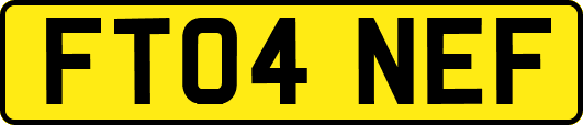 FT04NEF
