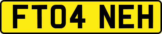 FT04NEH