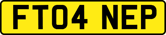 FT04NEP