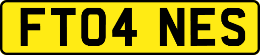 FT04NES