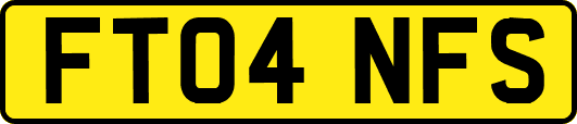 FT04NFS