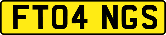 FT04NGS