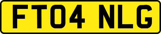 FT04NLG