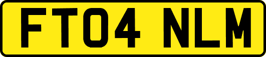 FT04NLM