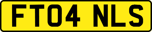 FT04NLS