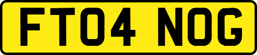 FT04NOG