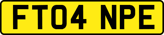 FT04NPE