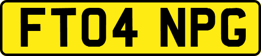FT04NPG