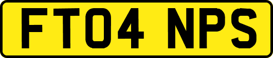 FT04NPS