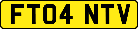 FT04NTV