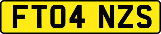 FT04NZS