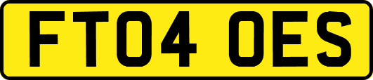 FT04OES