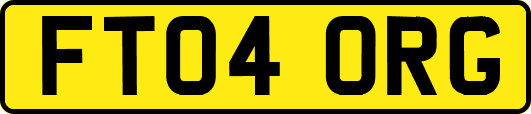 FT04ORG